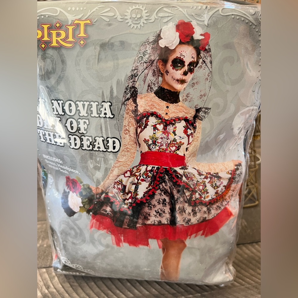 La Novia Day of the dead costume.